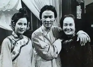 80年代初,香港亚视大侠霍元甲为何能火爆全国
