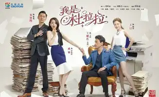 我是杜拉拉剧照
