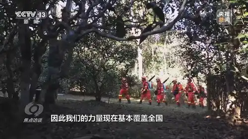 焦点访谈丨严防小火酿大祸清明前后怎么严防森林火灾
