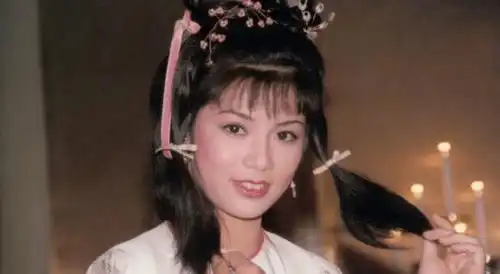 80年代的饿之花那些引起万人空巷的影视剧
