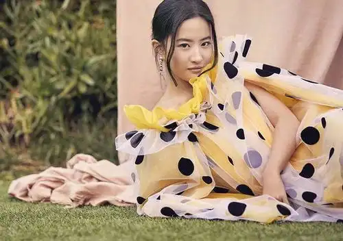 刘亦菲荣登顶流杂志,携手花木兰导演素颜出镜,网友直呼绝美