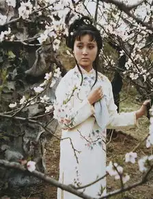 旧影1987版红楼梦未公开高清剧照
