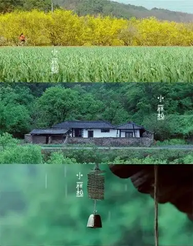 小森林剧照惠媛