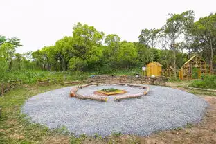 错过春日昙花,都市里还有小森林郊游去哪上海篇
