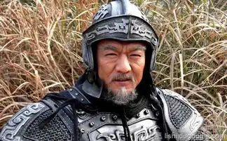 芈月传樗里疾是谁的儿子
