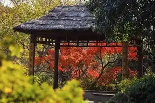 错过春日昙花,都市里还有小森林郊游去哪上海篇

