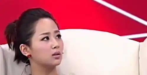杨紫为啥退出家有儿女丹琳被冤枉了14年,背后原因很现实

