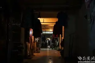 蜗居在地下室的家
