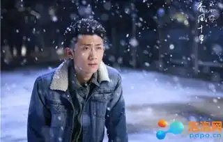 春风十里不如你秋水得了什么病春风十里不如你秋水为什么出现幻觉
