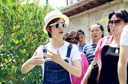 那年花开月正圆时刻待机的周莹蹲,你知道是为什么吗
