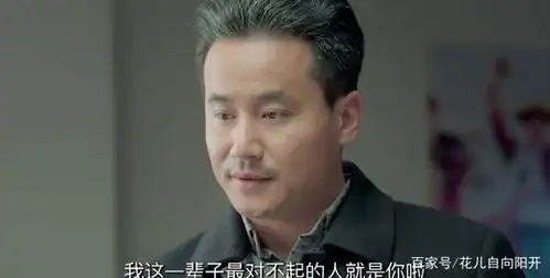 鸡毛飞上天陈大光,人生的起伏将导致成功
