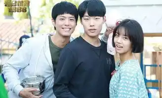 请回答1988翻拍,杨紫拿下女主饼,两大男主帅翻全场

