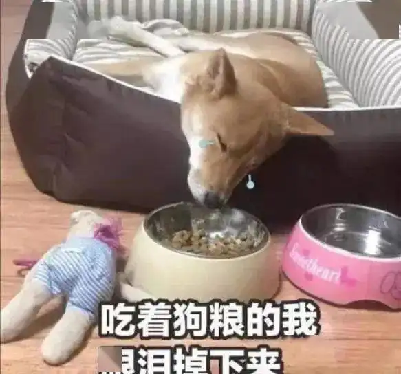 浪漫七夕节示范区城管人的土味情话你get到了吗