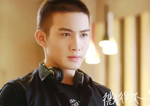小眼睛蒜头鼻下巴后缩是怎么整成当红小生的ab都跪服
