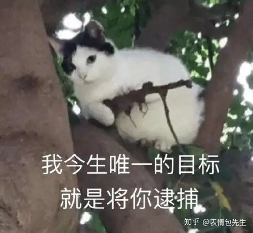 那些很骚的表情包是在哪里找到的