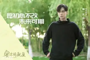 蜜汁炖鱿鱼定档,杨紫饰演佟年,软萌萝莉爱上高冷男神
