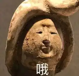 尴尬表情包微信里文物