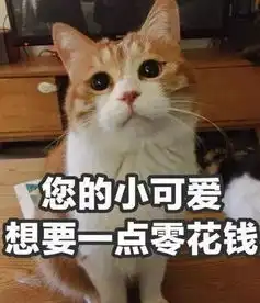 开门开锁开窗户,小猫咪你咋不上天呢
