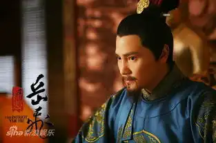 精忠岳飞剧照
