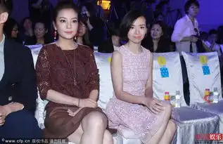 赵薇底裤险走光董洁内衣隐现
