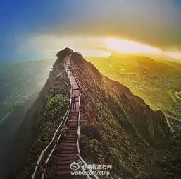 网页链接

