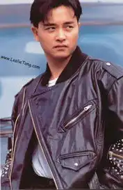 赵薇刘德华梁朝伟因临时顶替演出而走红的明星
