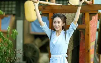 楚乔传赵丽颖林更新虐恋照片

