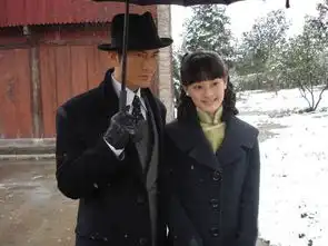 上海滩又翻拍看到冯程程的第4代扮演者,粉丝断网也要追

