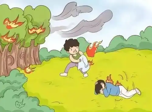 科普知识森林防火,这些知识你知道了吗
