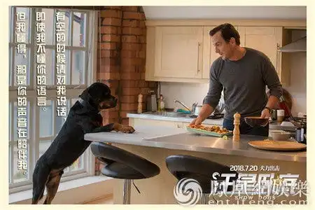 汪星卧底发人狗情缘剧照情书萌化铲屎官
