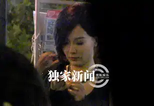 陈数黄磊电视剧照片换脸