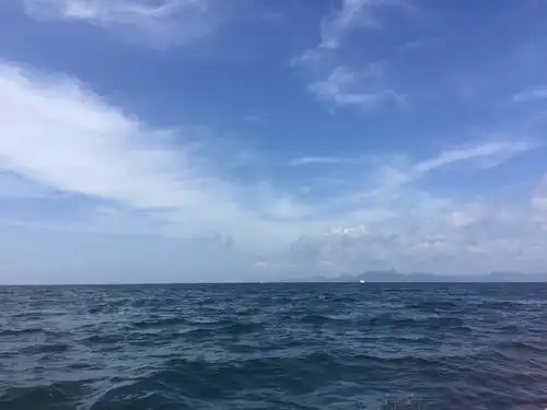 每日伤感小情书,在这个人不如狗的年代,不求真爱但别伤害
