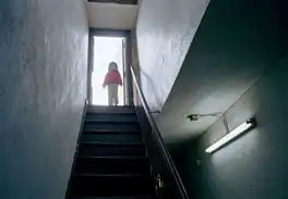 美国华人的蜗居生活