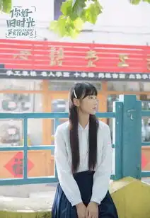 你好,旧时光剧照
