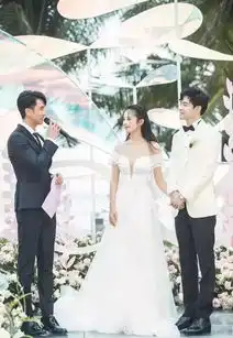 颖儿付辛博带娃结婚真人秀的完美结局大抵就是嫁给爱情
