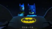 乐高超级英雄闪电侠娱乐高清正版视频在线观看
