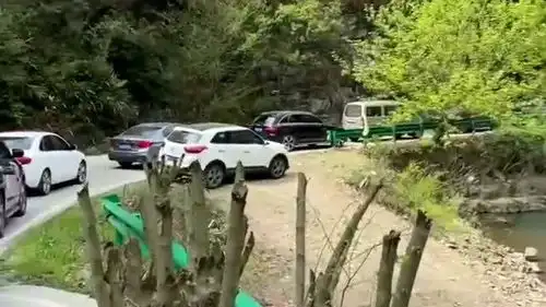 踏青途中遇堵车,一家人索性就地野炊,真会选地方