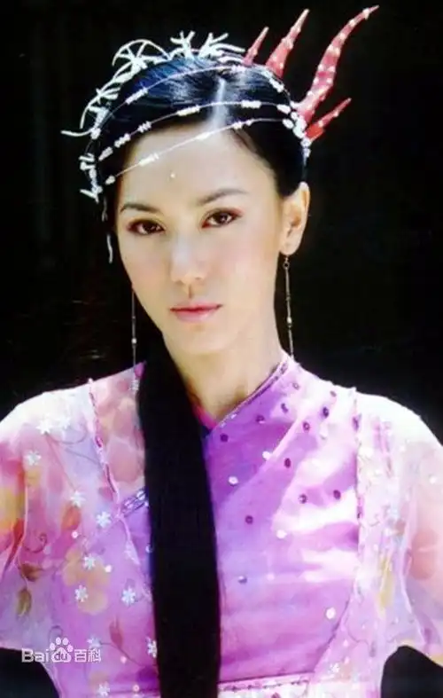 倚天屠龙记苏有朋的母亲
