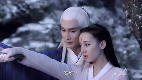 三生三世枕上书30精彩片段
