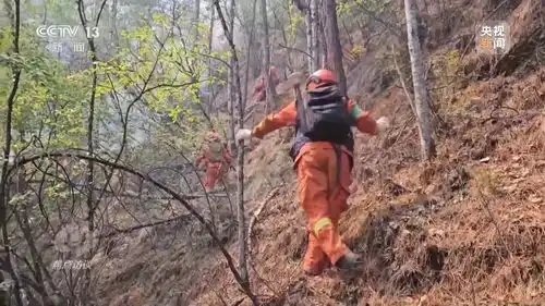 焦点访谈丨严防小火酿大祸清明前后怎么严防森林火灾
