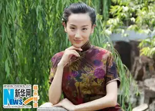 高洋演过的电视剧剧照姑