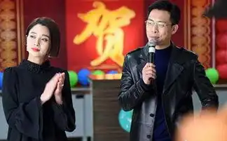 鸡毛飞上天深情演绎义乌创业发展史良心剧收获老少粉丝无数
