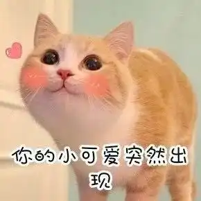 口香糖粘在裤子上难清理我们来帮您
