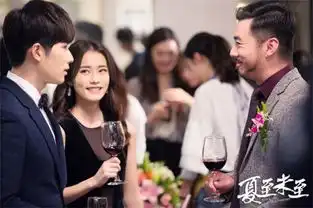 夏至未至程七七暗恋傅小司柴碧云戏外生活独立
