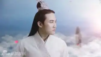 好好的花千骨被越南翻拍成这样网友感叹这是花千鬼吧组图
