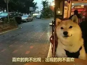 七夕单身狗生存指南