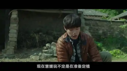 韩版小森林是回到人潮中,还是听从自己的内心,住进自己的小森林
