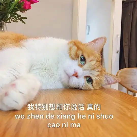 小火汁摇了我八的相册大脑斧表情包
