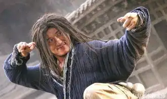成龙现实中功夫厉害吗看看世界拳王周比利这么说,网友中肯
