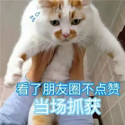 各种表情包大全朋友圈